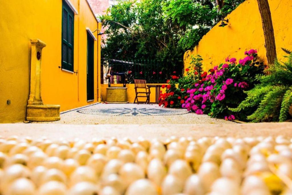 Appartement Maison Masse - With Private Courtyard (adults Only) *